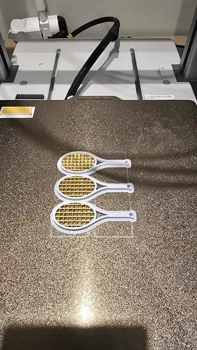 https://makerworld.bblmw.com/makerworld/model/546183/464098/ratings/747fd5b0-8d6a-11f0-98be-2fbc24223627.jpg