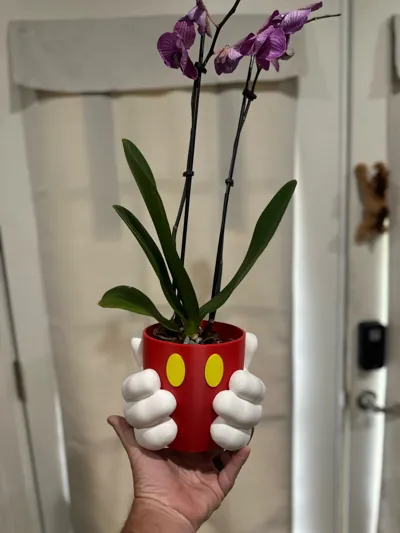 https://makerworld.bblmw.com/makerworld/model/546286/464214/ratings/74f93b10-7cb9-11f0-bfe5-539e00b0a7f7.jpg