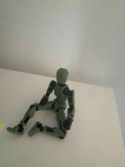 https://makerworld.bblmw.com/makerworld/model/546318/1122236/ratings/b3395ed0-6c8f-11f0-ba4e-2526934a0ed2.jpg
