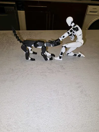 https://makerworld.bblmw.com/makerworld/model/546318/464266/ratings/0cc873a0-a8d1-11f0-bc5d-2780895b72fd.jpg