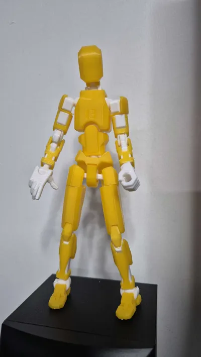 https://makerworld.bblmw.com/makerworld/model/546318/464266/ratings/67ffc010-5b2f-11f0-b1cb-7b8f522856d2.jpg