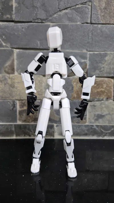 https://makerworld.bblmw.com/makerworld/model/546318/464266/ratings/68005c50-5b2f-11f0-b1cb-7b8f522856d2.jpg