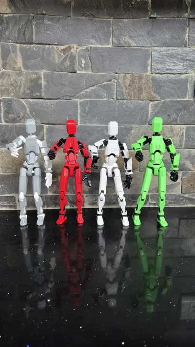 https://makerworld.bblmw.com/makerworld/model/546318/464266/ratings/6826a900-5b2f-11f0-b1cb-7b8f522856d2.jpg