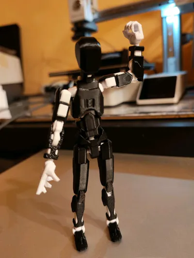 https://makerworld.bblmw.com/makerworld/model/546318/464266/ratings/6eef7480-dd0f-11f0-9421-db582fc7bb99.jpg