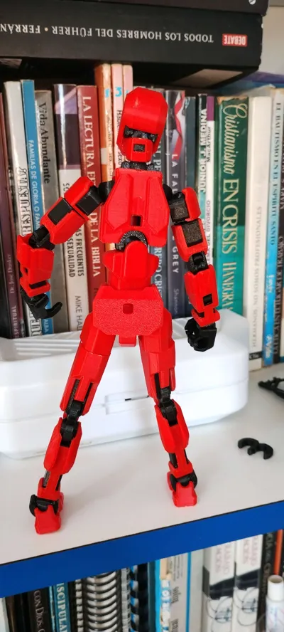 https://makerworld.bblmw.com/makerworld/model/546318/464266/ratings/814d95d0-1b04-11f0-853f-59e658ce3a65.jpg