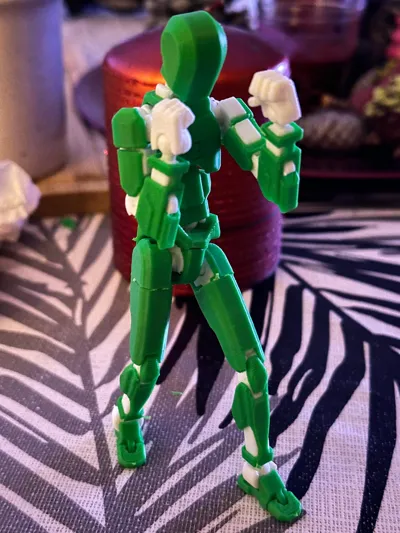 https://makerworld.bblmw.com/makerworld/model/546318/464266/ratings/a189d6d0-d3b2-11f0-b321-415de3d391b4.jpg