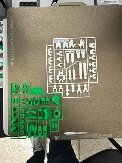 https://makerworld.bblmw.com/makerworld/model/546318/464266/ratings/a1a3ee80-d3b2-11f0-b321-415de3d391b4.jpg