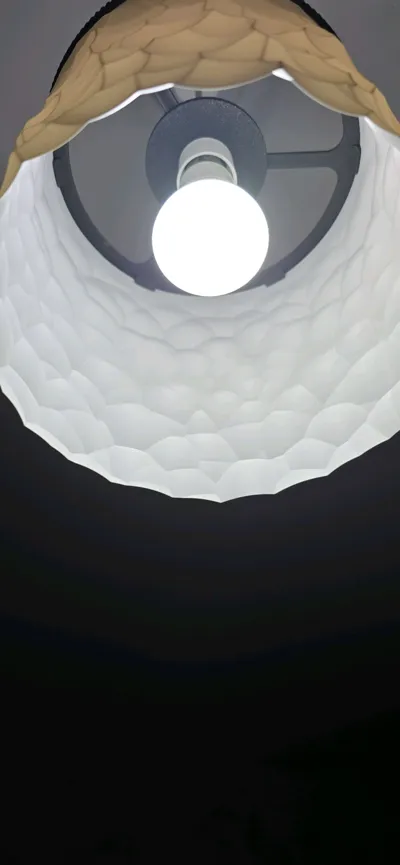 https://makerworld.bblmw.com/makerworld/model/547681/465757/ratings/de0f47b0-2e9a-11f0-8407-b9f95ce793cd.jpg