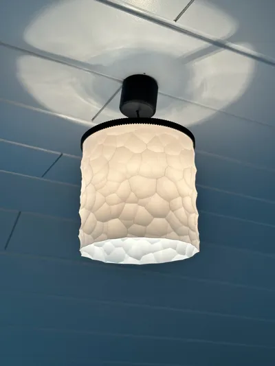 https://makerworld.bblmw.com/makerworld/model/547681/465757/ratings/f0d31f40-2c27-11f0-b00a-511a578a73f2.jpg