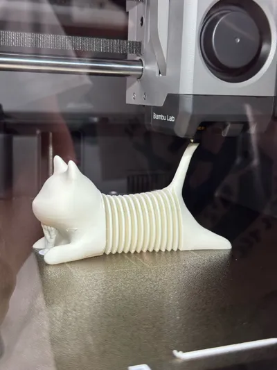 https://makerworld.bblmw.com/makerworld/model/549082/666812/ratings/d8f288c0-c1ff-11f0-b669-6f5c7a922d0f.jpg