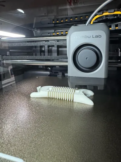 https://makerworld.bblmw.com/makerworld/model/549082/666812/ratings/d902dc70-c1ff-11f0-b669-6f5c7a922d0f.jpg