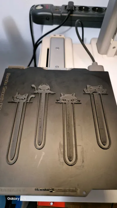https://makerworld.bblmw.com/makerworld/model/549263/1454038/ratings/bbc44ca0-7c74-11f0-a118-dfac8cb63bf5.jpg