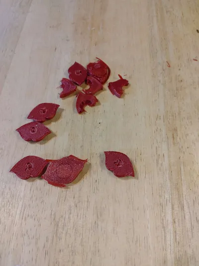 https://makerworld.bblmw.com/makerworld/model/549554/467905/ratings/7a92c720-8831-11f0-9029-1bb62dbe6342.jpg