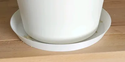 https://makerworld.bblmw.com/makerworld/model/552053/1391157/ratings/4b1f6d70-5b1f-11f0-9933-1184bed521e9.jpg