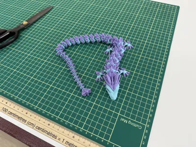 https://makerworld.bblmw.com/makerworld/model/55289/294004/ratings/eba24900-fc71-11ef-9a97-4d180eb409bf.jpg
