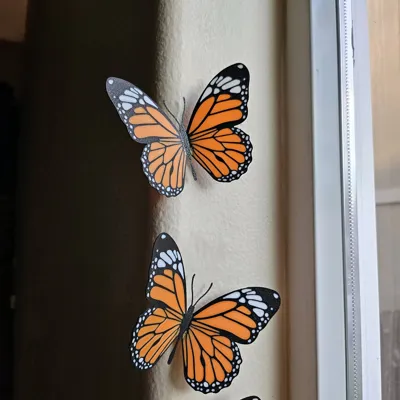 https://makerworld.bblmw.com/makerworld/model/556761/475663/ratings/5e3e8290-678d-11f0-abbb-612c5f7c4596.jpg