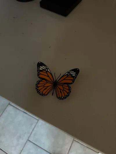 https://makerworld.bblmw.com/makerworld/model/556761/475663/ratings/6288aa60-20f7-11f0-adf4-ade1d79bb525.jpg
