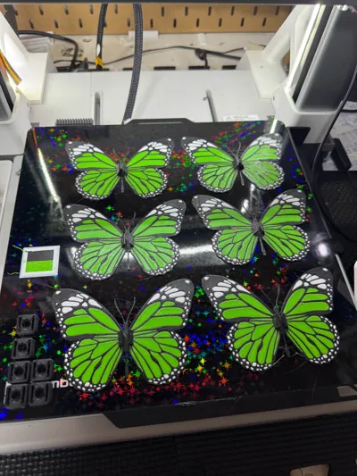 https://makerworld.bblmw.com/makerworld/model/556761/475663/ratings/a3e6fd10-d90a-11f0-a6fe-416368f511ac.jpg