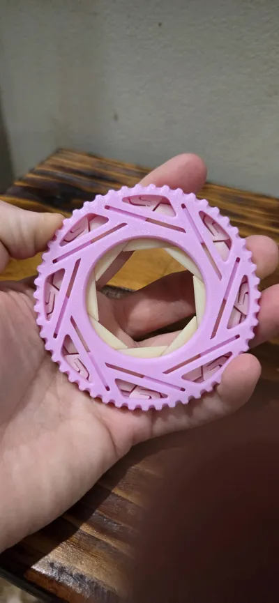 https://makerworld.bblmw.com/makerworld/model/558072/481791/ratings/cb03bc90-fb5f-11f0-9c52-b747082c00a2.jpg