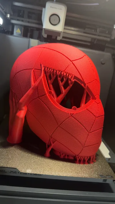 https://makerworld.bblmw.com/makerworld/model/558836/495263/ratings/3fae77f0-0d87-11f0-97fb-3f5ca8e18ae3.jpg
