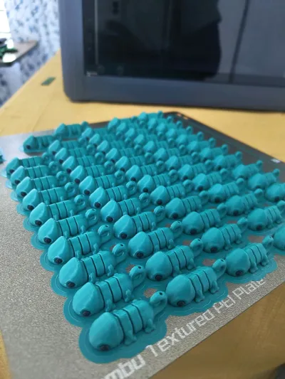 https://makerworld.bblmw.com/makerworld/model/559660/2419879/ratings/c6721f20-f8f1-11f0-9135-0d84e8cf9919.jpg