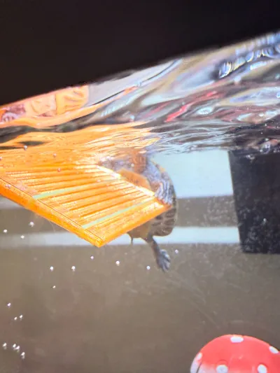 https://makerworld.bblmw.com/makerworld/model/560817/480099/ratings/d06dd2d0-19c7-11f0-bee0-a9d88683e6ba.jpg