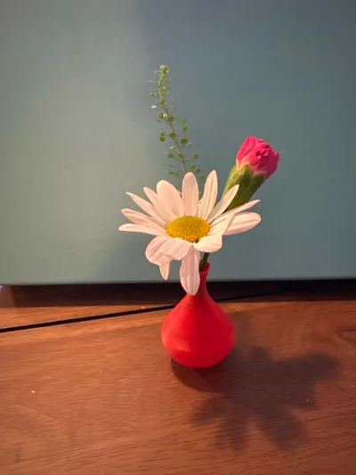 https://makerworld.bblmw.com/makerworld/model/562845/482369/ratings/b62d00a0-e9f4-11f0-8193-add3b8a3344d.jpg
