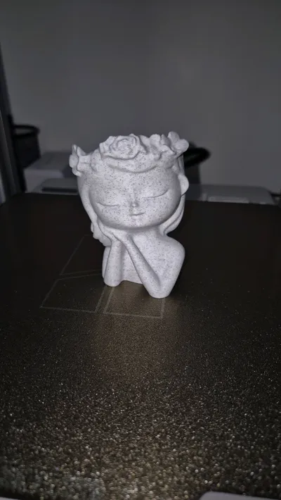 https://makerworld.bblmw.com/makerworld/model/563051/482545/ratings/d79754e0-6220-11f0-ac14-5fdda6fd51ec.jpg