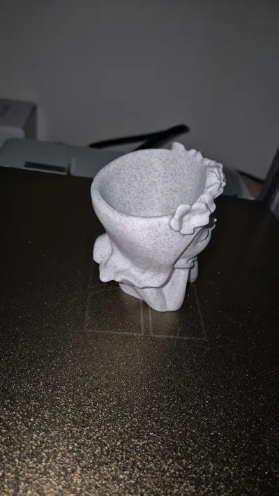https://makerworld.bblmw.com/makerworld/model/563051/482545/ratings/d8476b00-6220-11f0-ac14-5fdda6fd51ec.jpg