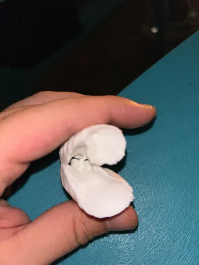 https://makerworld.bblmw.com/makerworld/model/564853/484441/ratings/4e8a71c0-cdc6-11f0-805c-e9ba312708e2.jpg