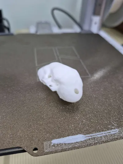 https://makerworld.bblmw.com/makerworld/model/564853/484443/ratings/61841b90-b869-11f0-b54d-2bd8c5c5cd20.jpg