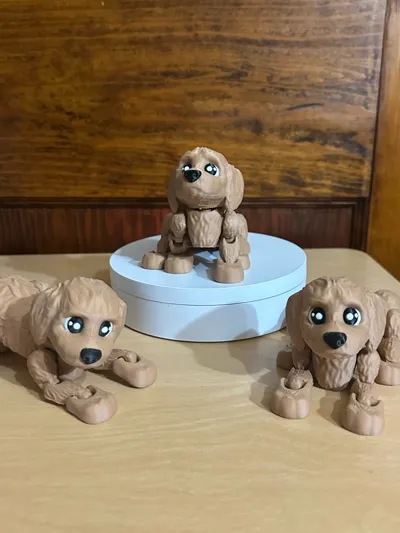 https://makerworld.bblmw.com/makerworld/model/565446/485079/ratings/63f4c821-86be-11f0-ac06-dbef5f84ba6f.jpg