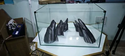 https://makerworld.bblmw.com/makerworld/model/565566/485224/ratings/0269f610-b9a0-11f0-935a-af2b1cf9a952.jpg