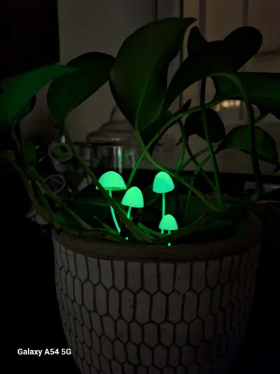 https://makerworld.bblmw.com/makerworld/model/567120/486798/ratings/f4b26890-18dc-11f0-a328-ab59b75917fb.jpg