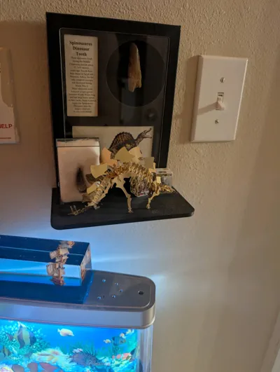 https://makerworld.bblmw.com/makerworld/model/567136/2416827/ratings/f2064900-f2a1-11f0-874d-b3653f8dd27b.jpg