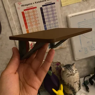 https://makerworld.bblmw.com/makerworld/model/567136/486825/ratings/a8686370-86ed-11f0-b36d-d3217da58fb1.jpg
