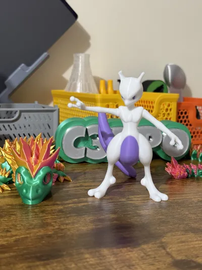 https://makerworld.bblmw.com/makerworld/model/568632/562060/ratings/7d9971a0-09a4-11f0-8bb7-0db911dd283e.jpg
