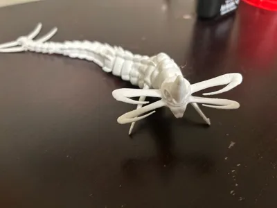 https://makerworld.bblmw.com/makerworld/model/572246/492386/ratings/dd35b770-1018-11f0-8a9d-4f76630981a6.jpg