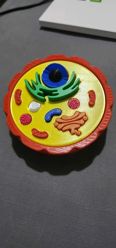 https://makerworld.bblmw.com/makerworld/model/572364/523453/ratings/ca42b2d0-7da5-11f0-b42c-5ff1608ac4df.jpg