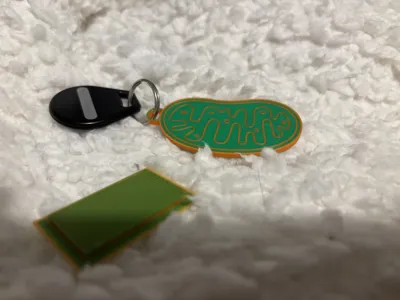 https://makerworld.bblmw.com/makerworld/model/573102/493458/ratings/c4912210-0107-11f0-8568-3d6cee2f5227.jpg