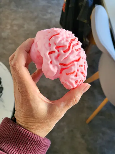 https://makerworld.bblmw.com/makerworld/model/573245/493477/ratings/56f850d0-a728-11f0-8480-4514d923e14e.jpg