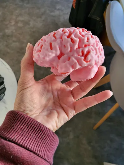 https://makerworld.bblmw.com/makerworld/model/573245/493477/ratings/57057030-a728-11f0-8480-4514d923e14e.jpg