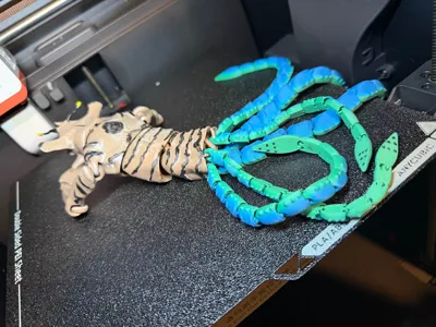 https://makerworld.bblmw.com/makerworld/model/573491/493742/ratings/b9e1cd70-aa89-11f0-b09f-917aad8e652d.jpg