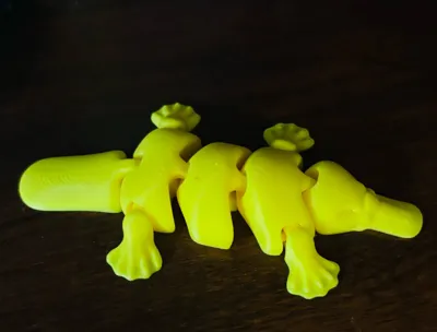 https://makerworld.bblmw.com/makerworld/model/573656/494321/ratings/325a8950-2f87-11f0-9c34-53223cd53296.jpg
