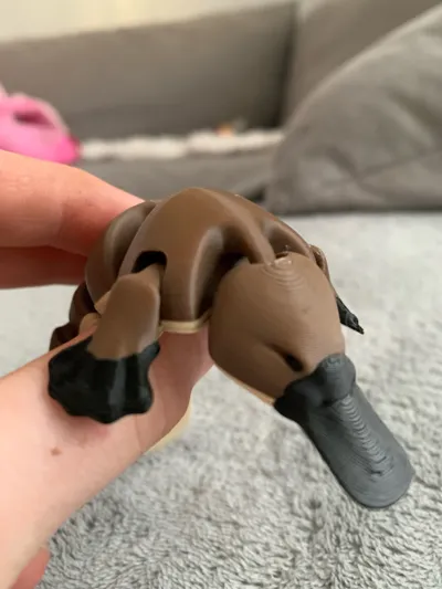 https://makerworld.bblmw.com/makerworld/model/573656/494321/ratings/9dd05a90-b4a0-11f0-a5be-c962a0ef16f9.jpg