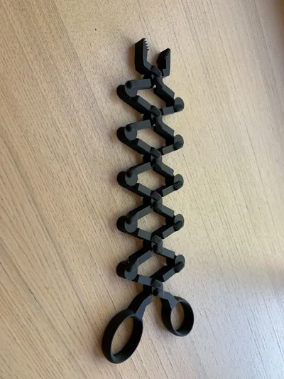 https://makerworld.bblmw.com/makerworld/model/574787/495120/ratings/75ec4c50-a7a8-11f0-8e17-e1f7ca34d9ae.jpg