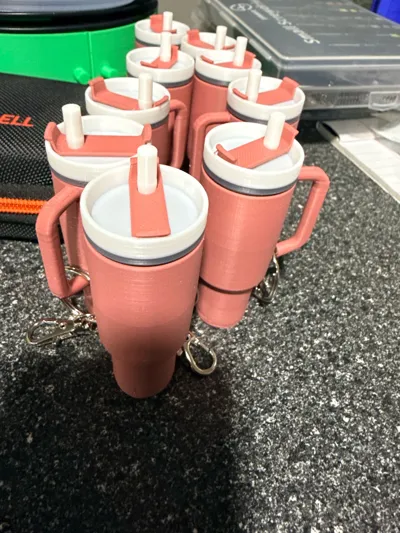 https://makerworld.bblmw.com/makerworld/model/576645/915912/ratings/db0282c0-ebdd-11f0-b41c-717052fb0feb.jpg