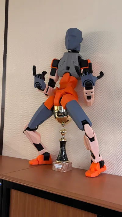 https://makerworld.bblmw.com/makerworld/model/577848/498529/ratings/296b2ae0-b630-11f0-bb9c-3f4988a2f23a.jpg