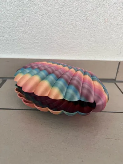 https://makerworld.bblmw.com/makerworld/model/578095/498801/ratings/41725ef0-47e6-11f0-9ff2-edaae767e2b9.jpg