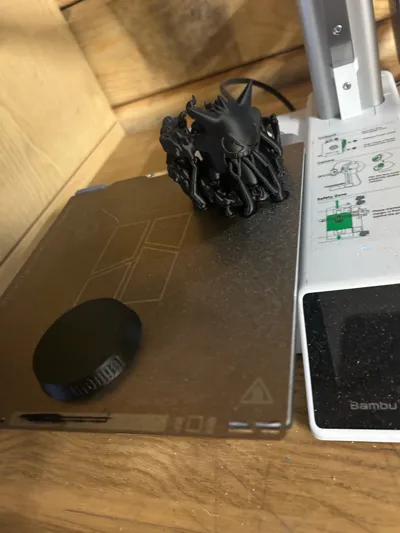 https://makerworld.bblmw.com/makerworld/model/580399/1009424/ratings/b29ebbf0-34a9-11f0-bc39-8d3c4f032332.jpg